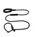 PAWS ASIA Suppliers 2 in 1 Nylon Reflective Training Strong Heavy Duty Dog Collar And Leash