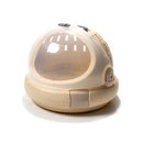 PAWS ASIA Supplier Plastic Potable Multifunctional Outdoor Transport Cat Carrier With Mat