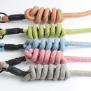 PAWS ASIA China Suppliers Wholesale New Style Cute Adjustable Pet Harness Leash Set Dog Cat With Comfortable Handle