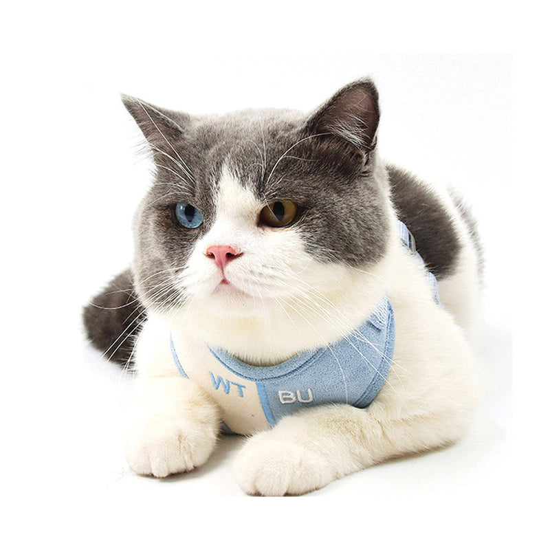 PAWS ASIA Amazon New Hot Sale Luxury Premium Embroidered Pet Harness Leash For Small Dog Cat2