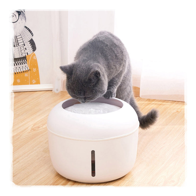 PAWS ASIA Manufacturers New Plastic 2.5L Cheap Automatic Pet Water Feeder