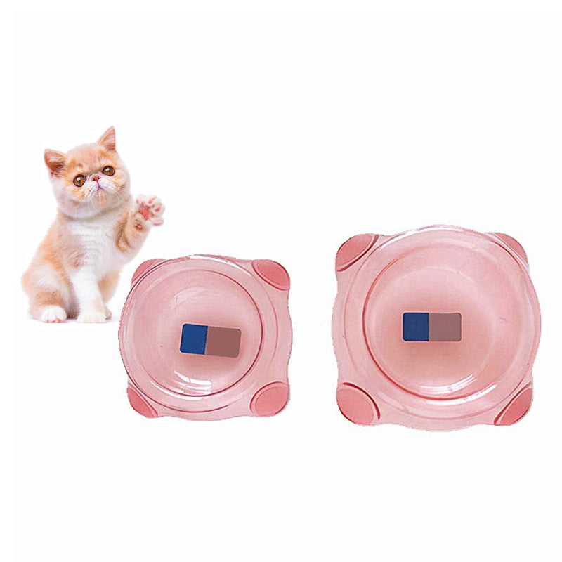 PAWS ASIA Manufacturers Plastic Raised Feed Water And Food Transparent Cat Bowl Dog