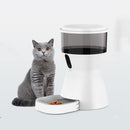 PAWS ASIA Suppliers ABS Smart Wifi Timer 4L Automatic Slow Pet Feeder With Camera Voice Interaction Dog Cat