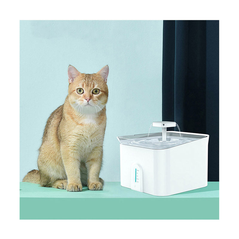 PAWS ASIA Suppliers High Quality Mobile Phone App Control Automatic Pet Water Feeder Cat Dog