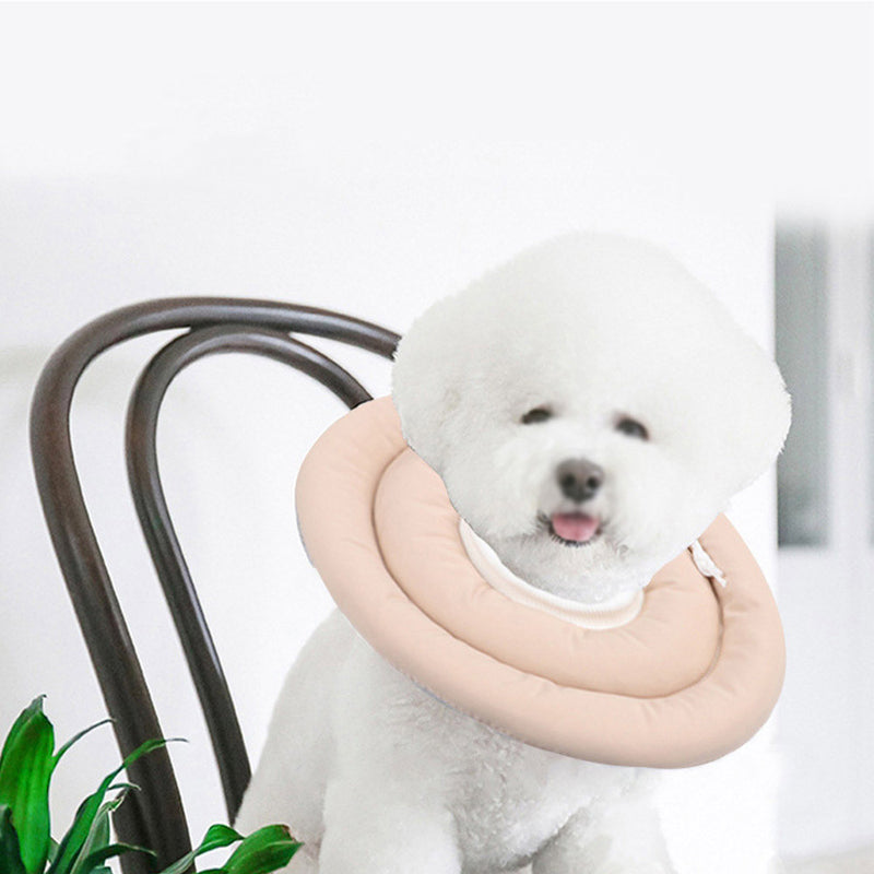 PAWS ASIA Suppliers Hot Selling Adjustable Pet Recovery Dog Protection Collar