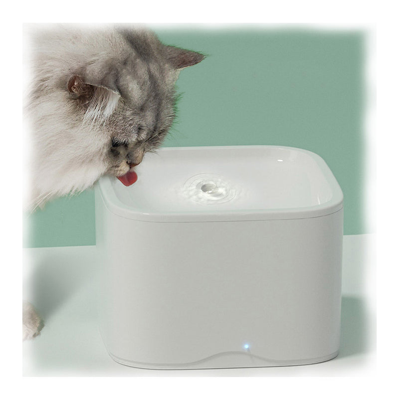PAWS ASIA Suppliers New Hot Sale Dog Cat Smart Automatic Wifi Pet Feeder Water