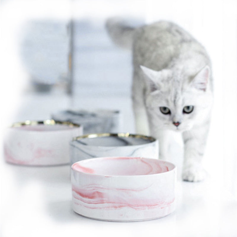 PAWS ASIA Wholesale Fancy Protect Cervical Pretty Designed Ceramic Cat Bowl