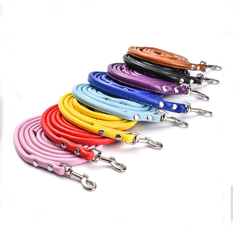 PAWS ASIA Wholesale OEM PU Material Trendy Color Cute Tough Long Dog Leash