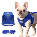 PAWS ASIA China Manufacturers Competitive Price Comfort Vest With Pet Leash
