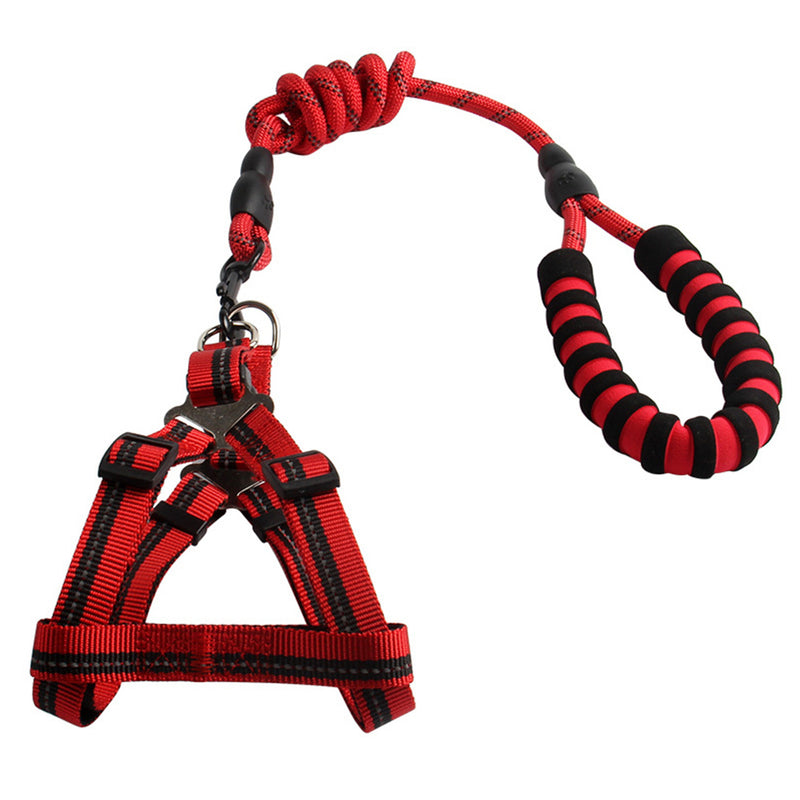 PAWS ASIA China Suppliers Safety Training Nylon Personalized Pet Leash Sets