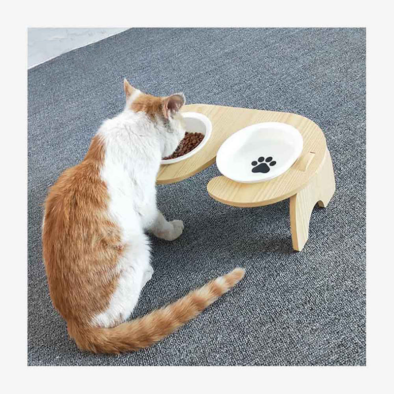 PAWS ASIA China Wholesale Modern Eco Friendly Multifuncional Ceramic Cat Bowls