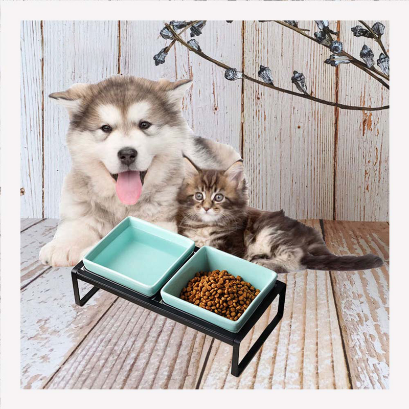 PAWS ASIA Manufacturers Ceramic Elevated Protect Cervical Feeding Dog Bowl