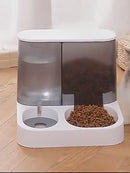 PAWS ASIA Suppliers New Storage Food Water Container Automatic Feeder Transparent Dog Bowl Cat