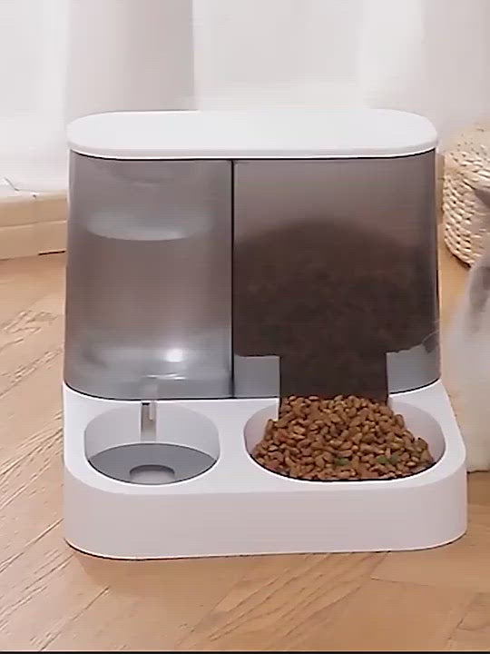 PAWS ASIA Suppliers New Storage Food Water Container Automatic Feeder Transparent Dog Bowl Cat