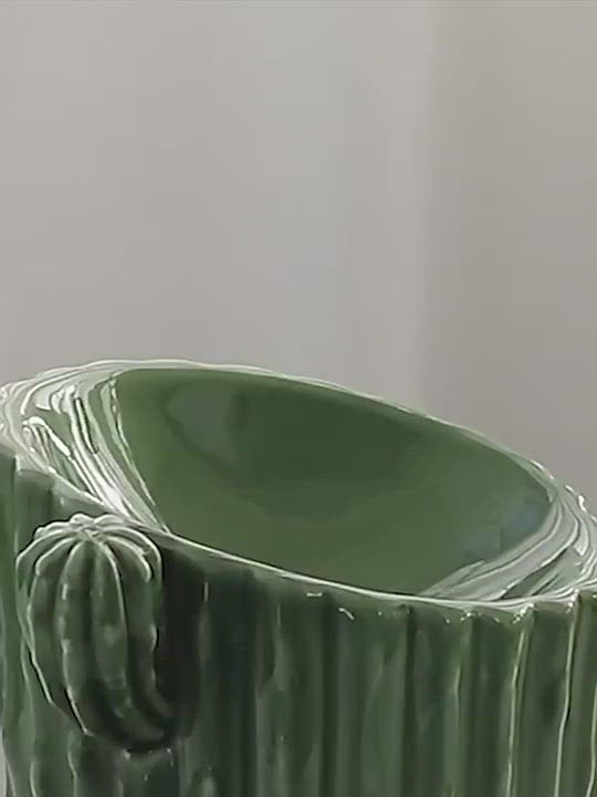PAWS ASIA Suppliers Custom Ceramic Luxury Cactus Tall Non Slip Elevated Slanted Cat Bowl Dog