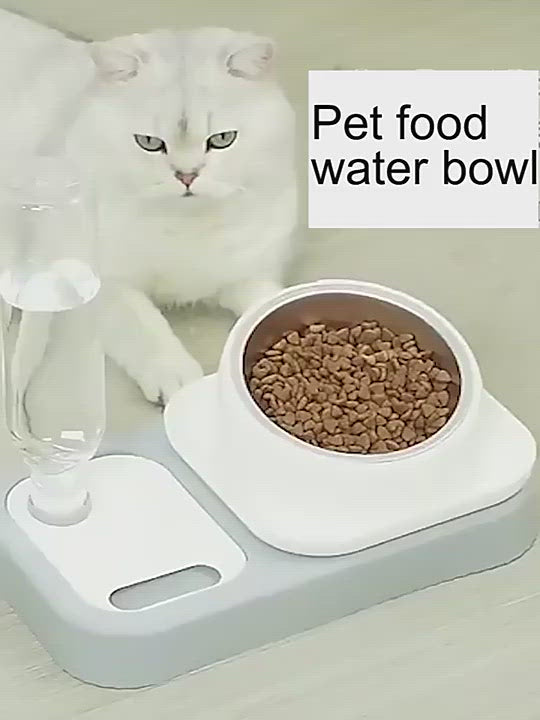 PAWS ASIA Suppliers Plastic Multifunctional Detachable Elevated Automatic Water Cat Bowl Dog Slow Feeder