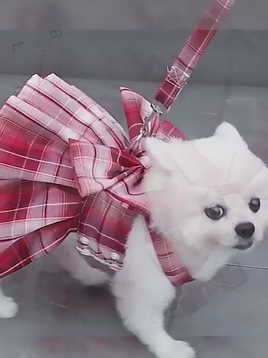 PAWS ASIA Manufacturers High Quality Luxury Cute Plaid Dog Harness Set Pet Skirt Vest For Small Dog