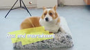 PAWS ASIA Wholesale Modern Memory Foam Removable Zipper Rectangle Cat And Dog Beds