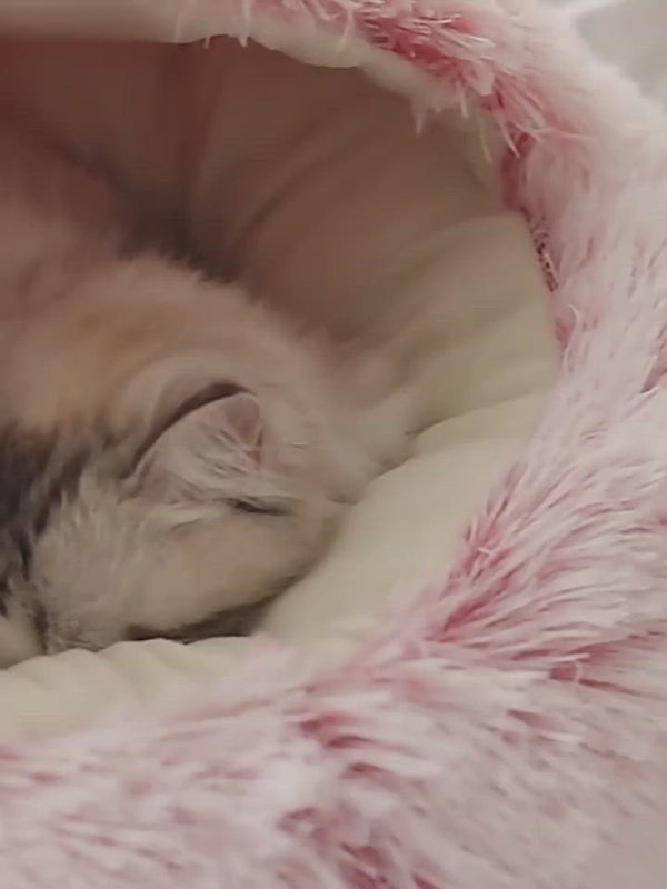 PAWS ASIA Suppliers New Stylish Hot Sale Indoor Cute Plush Soft Luxury Pet Nest Cat Bed With Blanket Cover