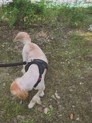 PAWS ASIA Factory Low Moq Oxford Reflective Training Adjustable No Pull Large Dog Harness With Handle