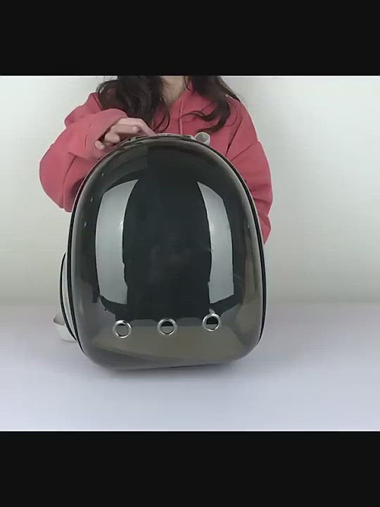 PAWS ASIA Wholesale Fashion Hiking  Portable Transparent Clear Pet Carrier Cat Backpack Dog