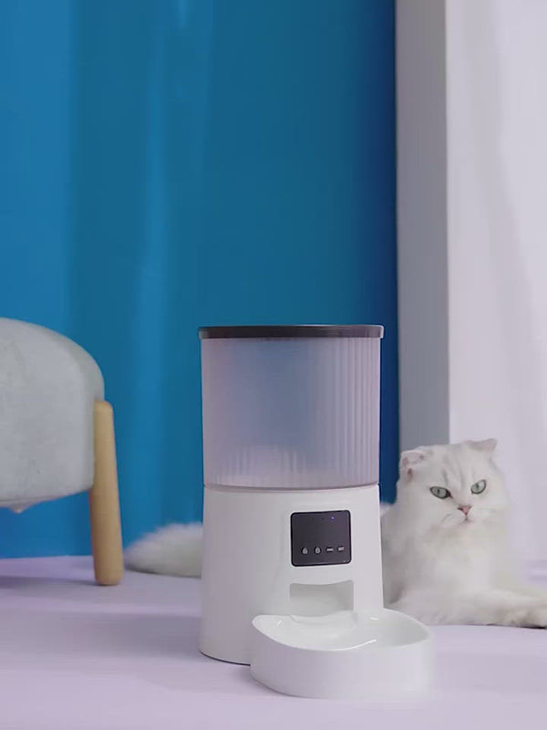 PAWS ASIA Manufacturers 4L Wifi Automatic Pet Food Dispenser Cat Dog Feeder With Talking From Smart Phone