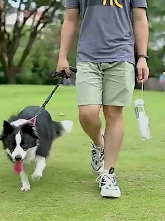 PAWS ASIA Wholesale Pet Outdoor Portable Designed Clear Dog Walk Water Bottle With Filter 330ML