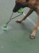 PAWS ASIA Factory Low Moq Teeth Cleaning Molar Interactive Improve IQ Pulling Suction Cup Dog Toy