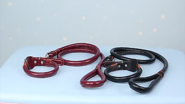 PAWS ASIA Wholesale Hot High Quality PU Leather Heavy Duty Rope Dog Leash And Collar Set