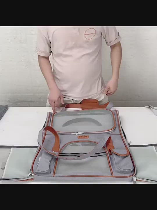 PAWS ASIA Wholesale Mesh Foldable Travel Carrying Large Tote Cat Bag Carrier For Transporting