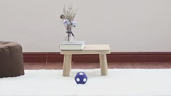 PAWS ASIA Wholesale Top Seller Dog Toys Ball Latex Small Molar Squeaky Products