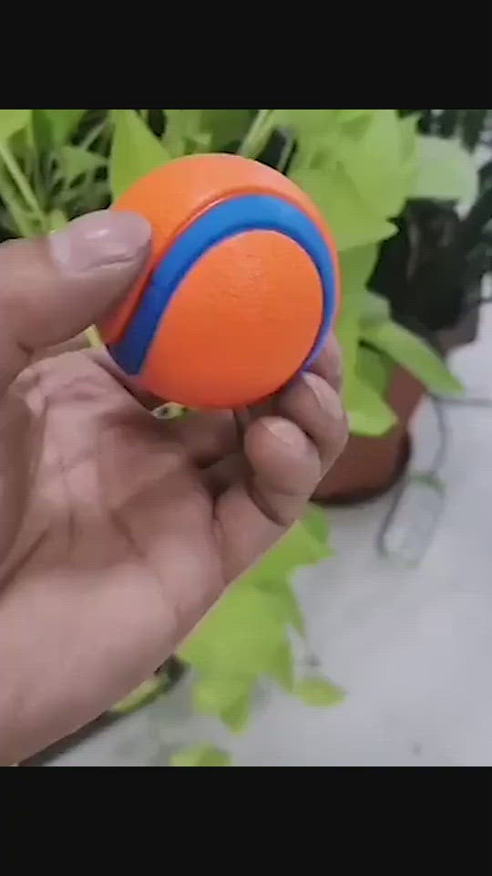 PAWS ASIA Suppliers Interactive Durable Chewing Dog Toys Ball Solid Core Tennis