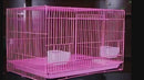 PAWS ASIA Chinese Factory Wholesale Cheap Commercial Indoor Large Breeding Rabbit Cage Aviary With Tray